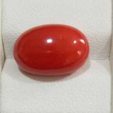 8.09ct oval red red-coral-mungaa by 